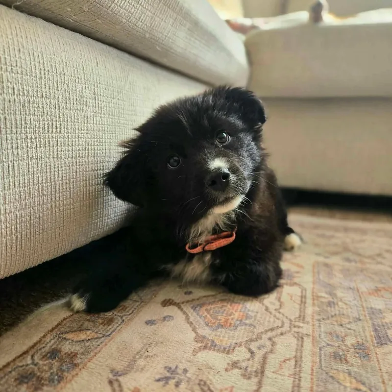 Margaret thumbnail 5