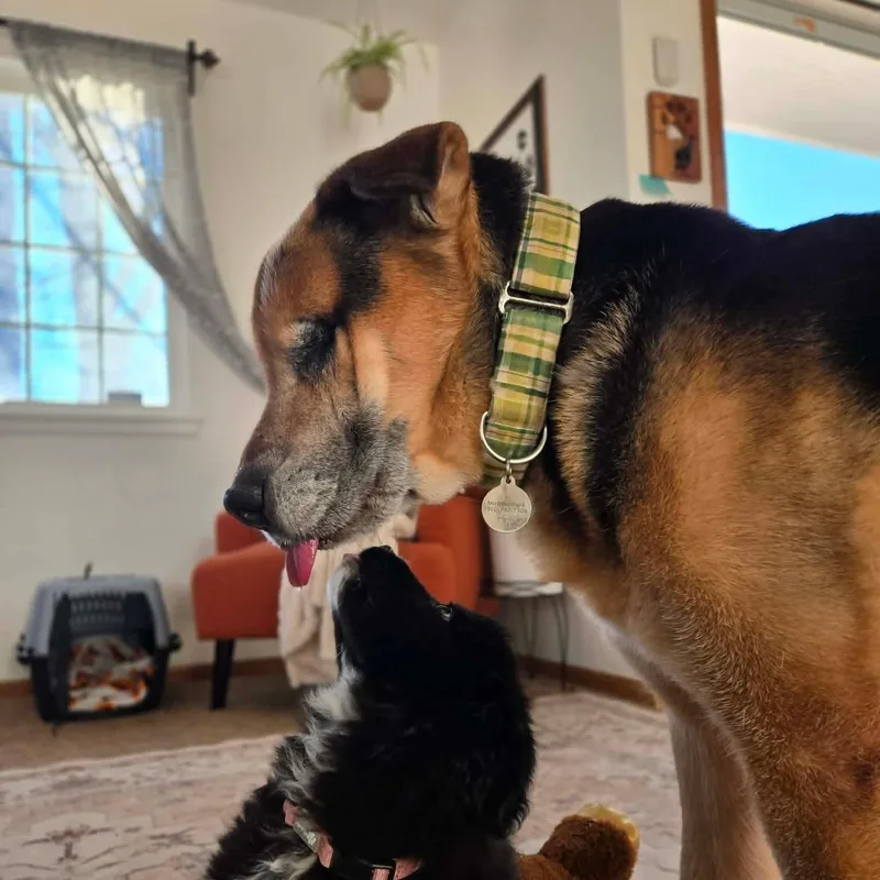 Margaret thumbnail 6