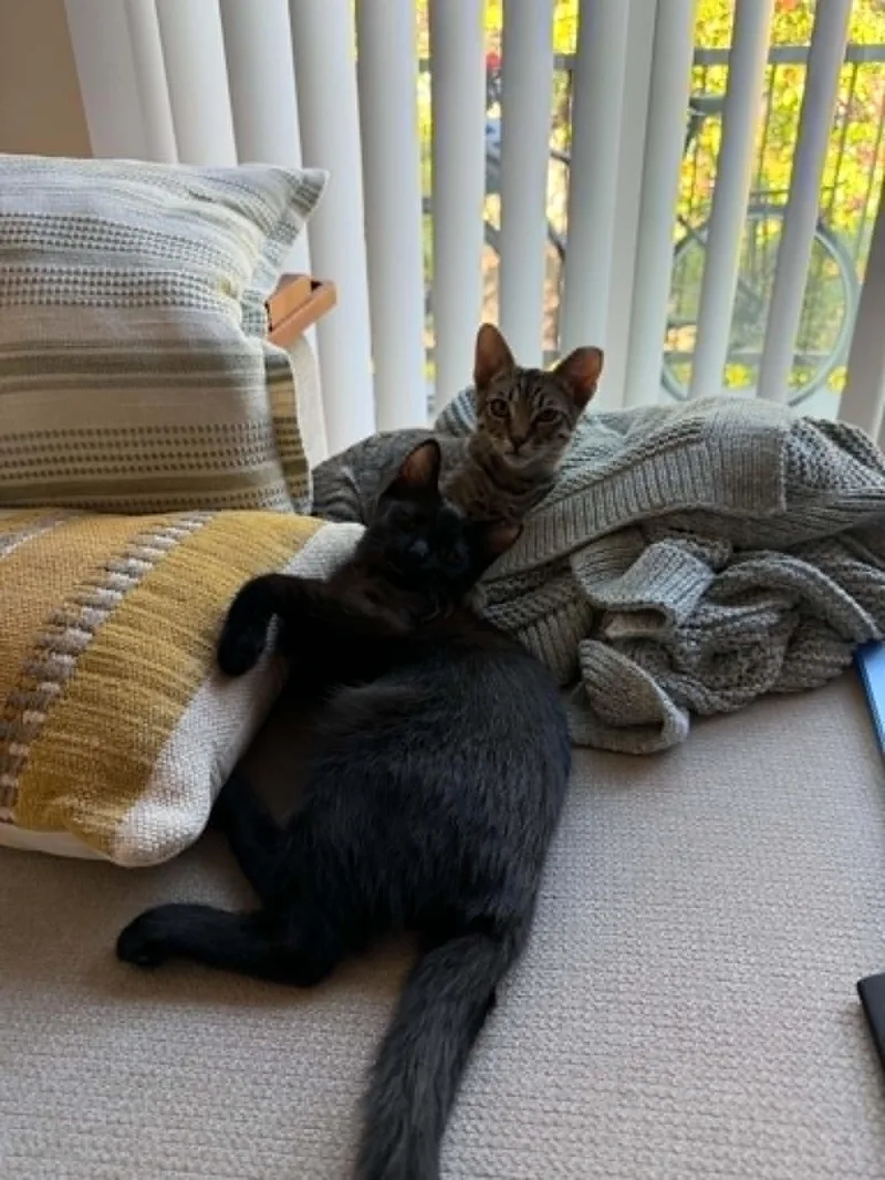 Oscar & Arthur thumbnail 5
