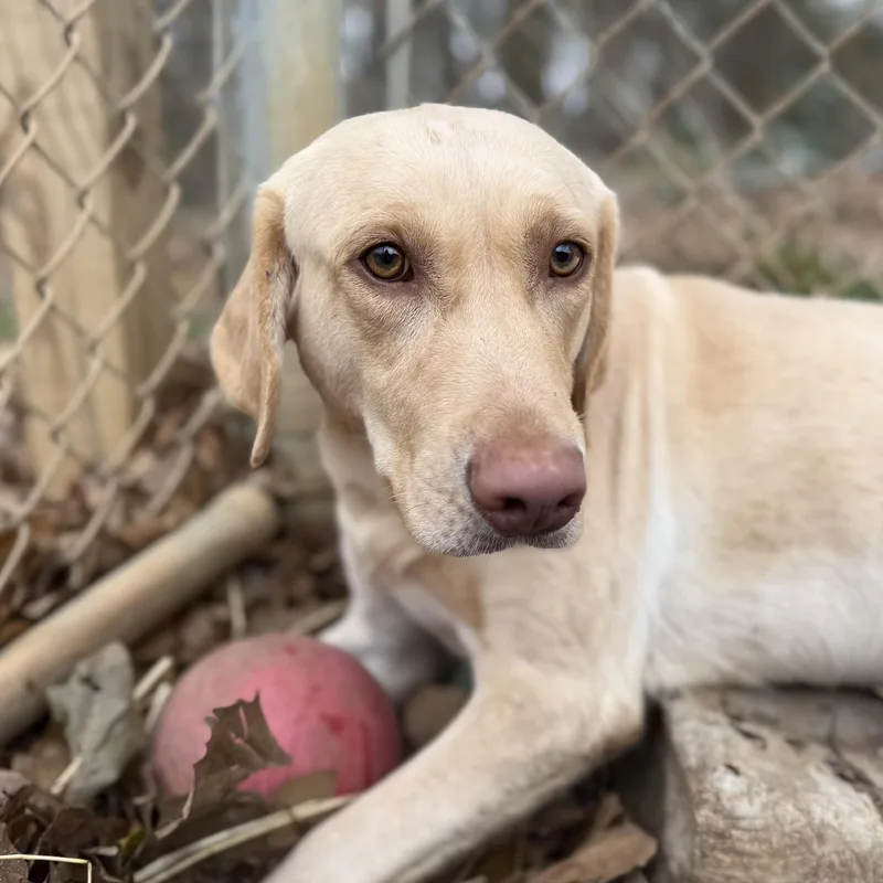 Steve Harvey thumbnail 2