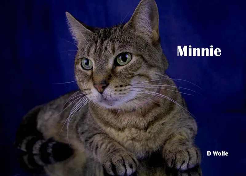 Minnie thumbnail 3