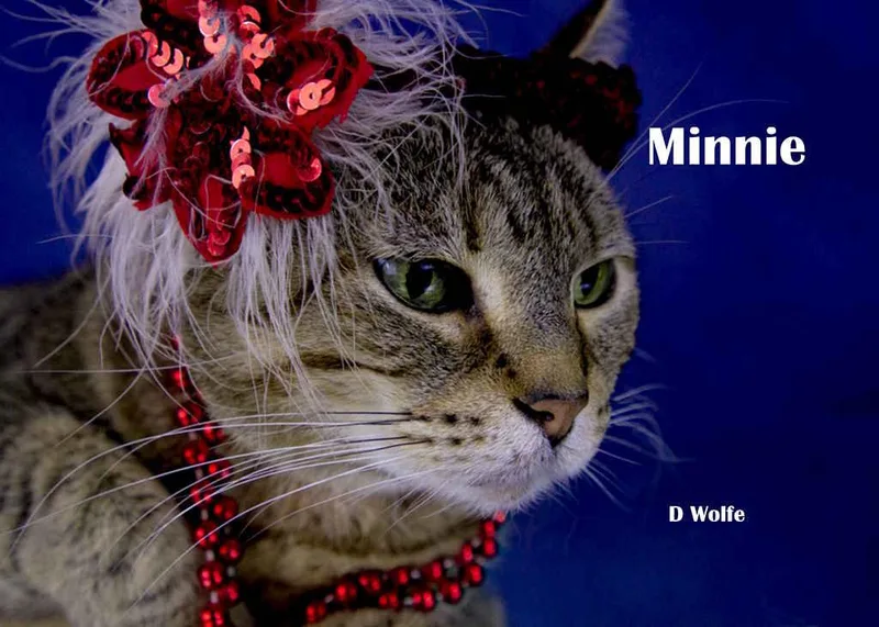 Minnie thumbnail 4