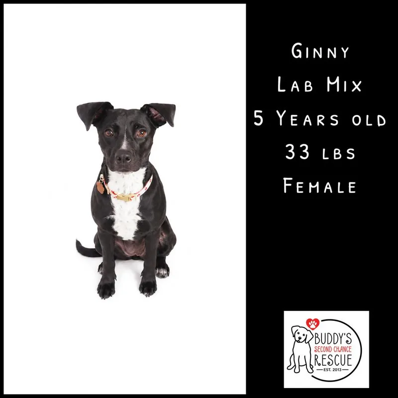 Ginny