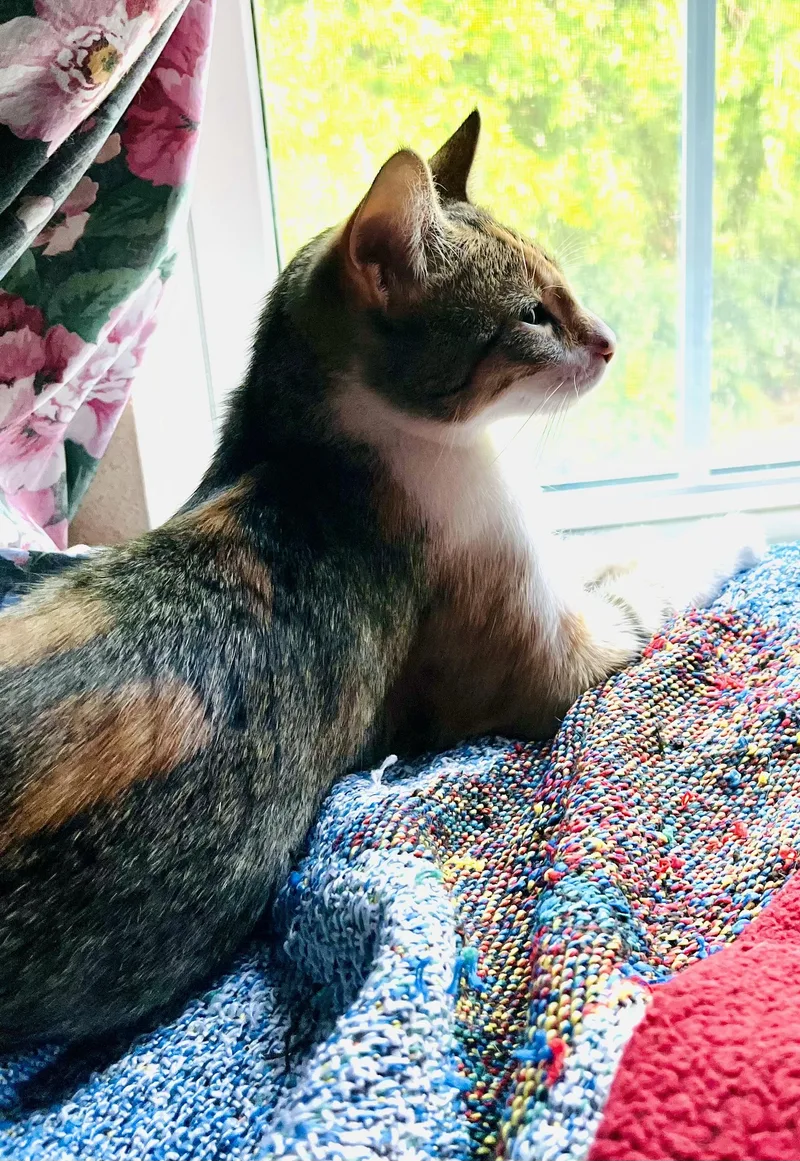 Princess Sophie thumbnail 2