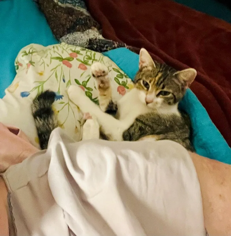 Princess Sophie thumbnail 3