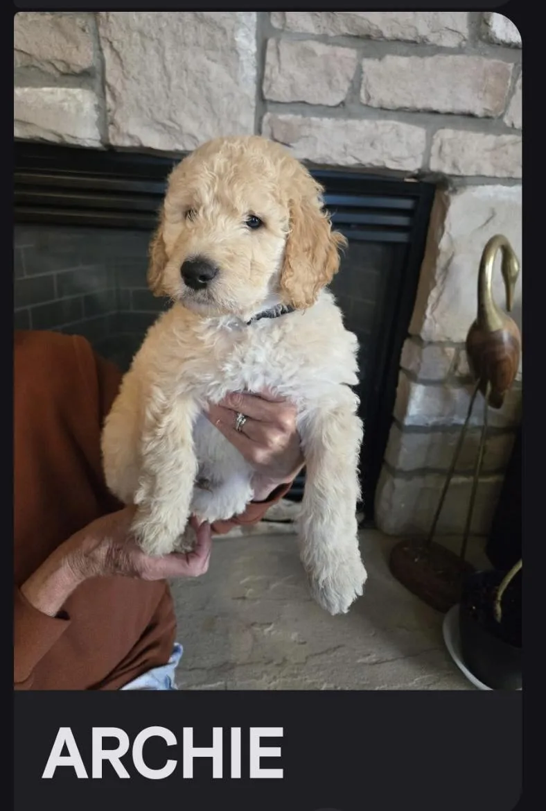 Archie