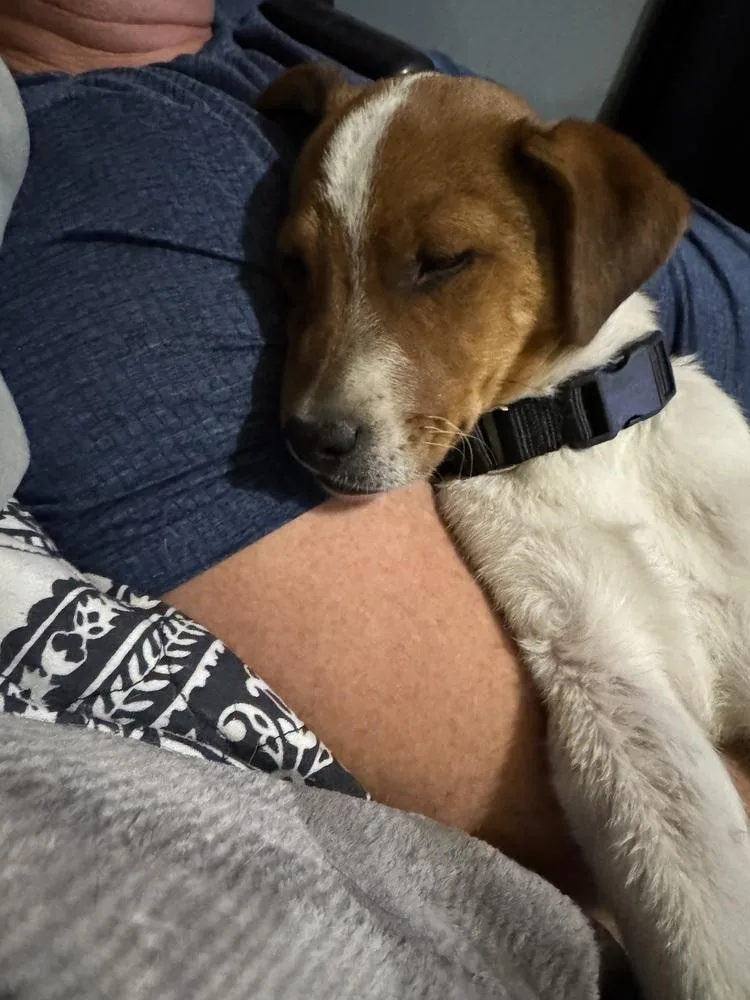 Theodore