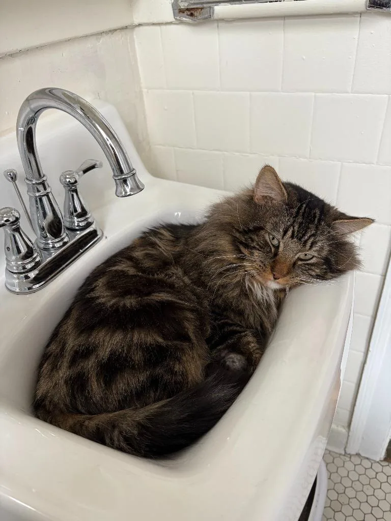 Faxonno Longer Accepting Applications