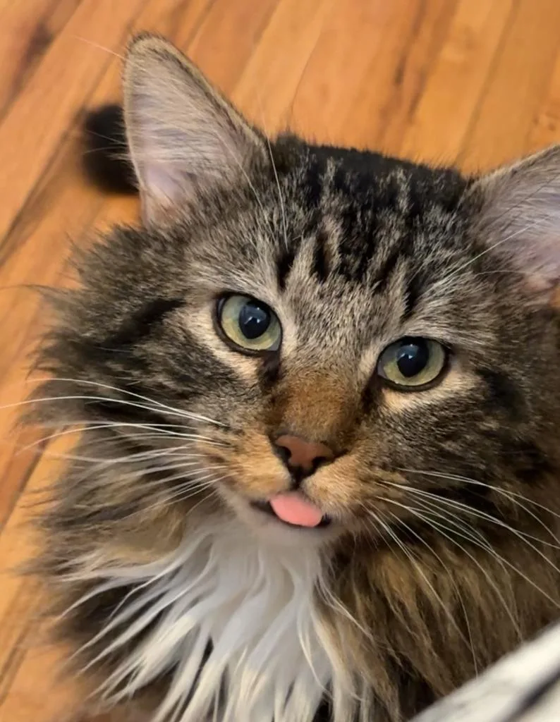 Faxonno Longer Accepting Applications thumbnail 2