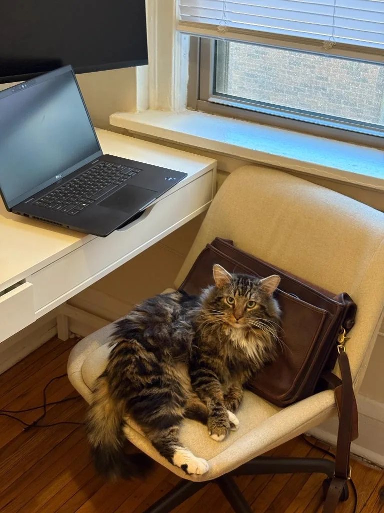 Faxonno Longer Accepting Applications thumbnail 5