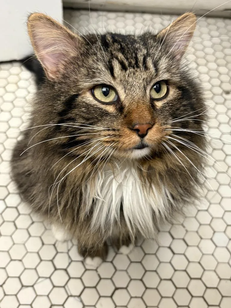 Faxonno Longer Accepting Applications thumbnail 6