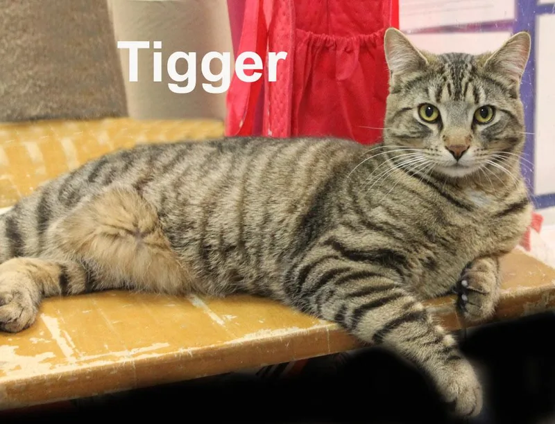 Tigger Fuh.gran. thumbnail 2