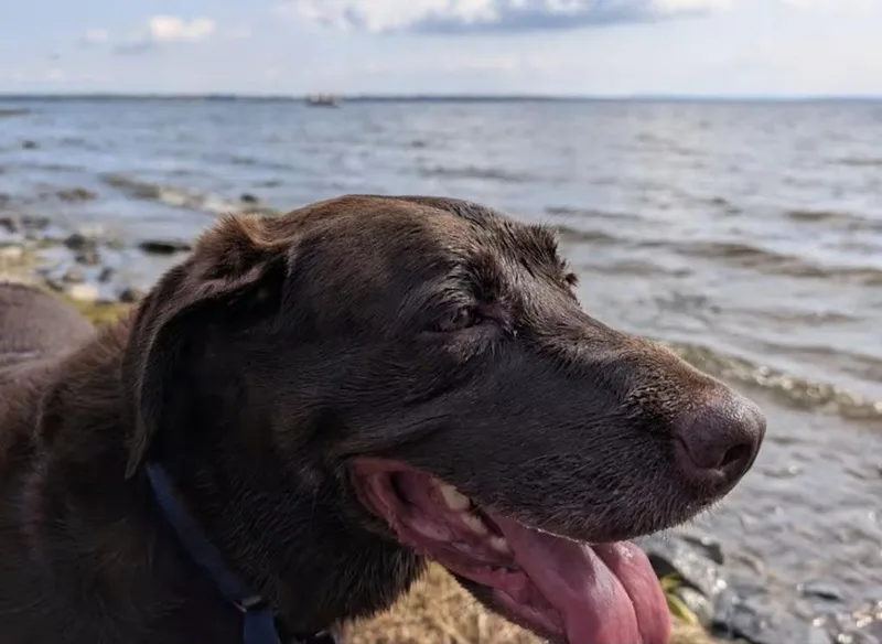 Shirleycourtesy Listing