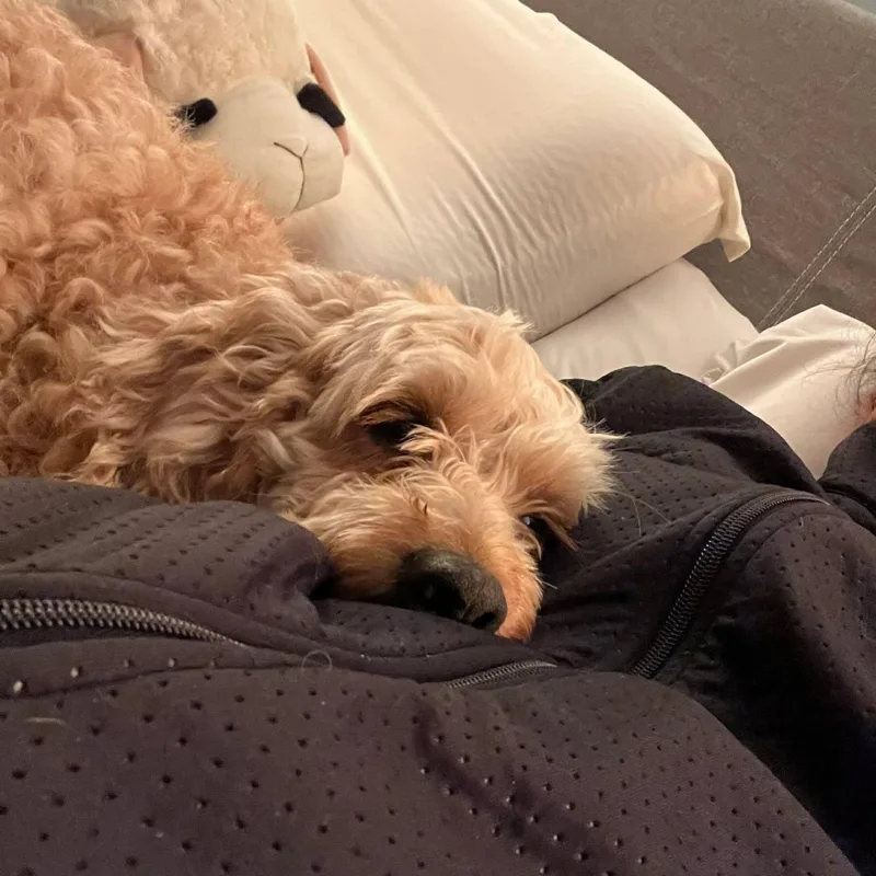 Taylormade thumbnail 2