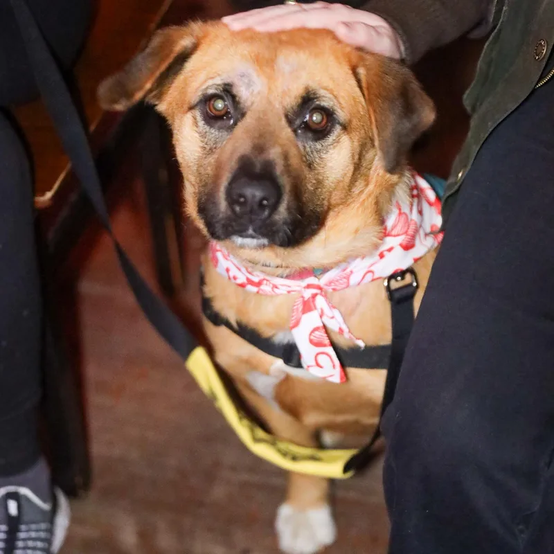 Rob Rausch thumbnail 2