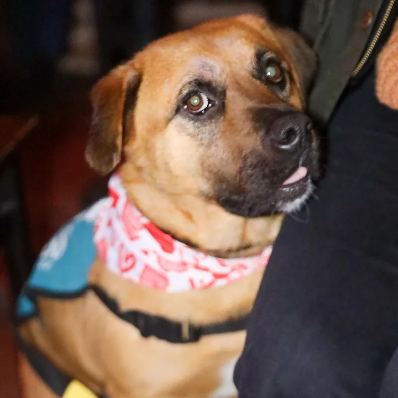 Rob Rausch thumbnail 3