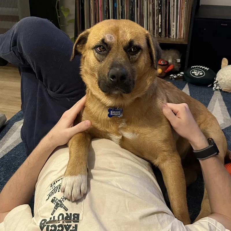 Rob Rausch thumbnail 4