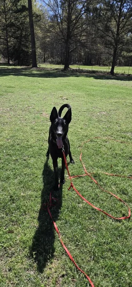 Takara Fna Amaya  thumbnail 3