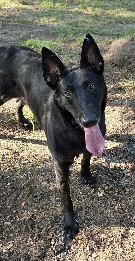 Takara Fna Amaya  thumbnail 5