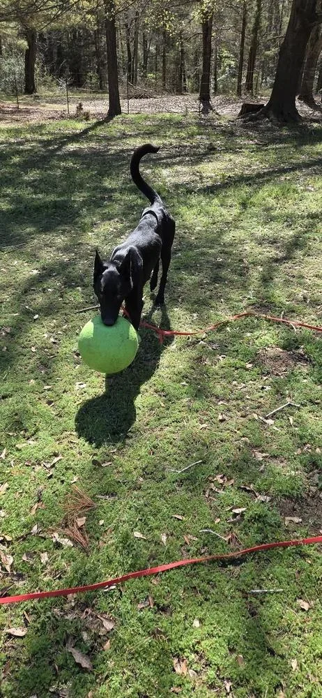 Takara Fna Amaya  thumbnail 6