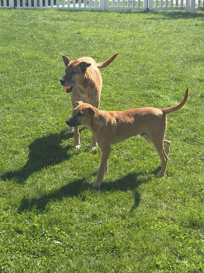 Max