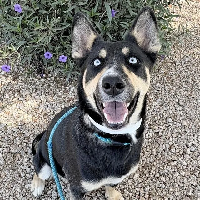 Luna