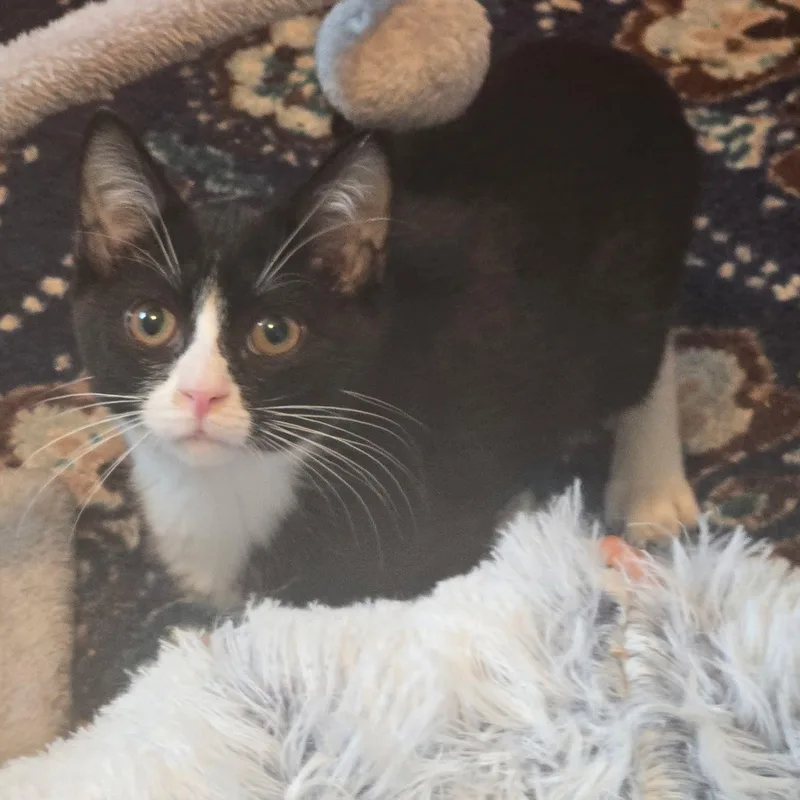 Haisley & Hooper thumbnail 2