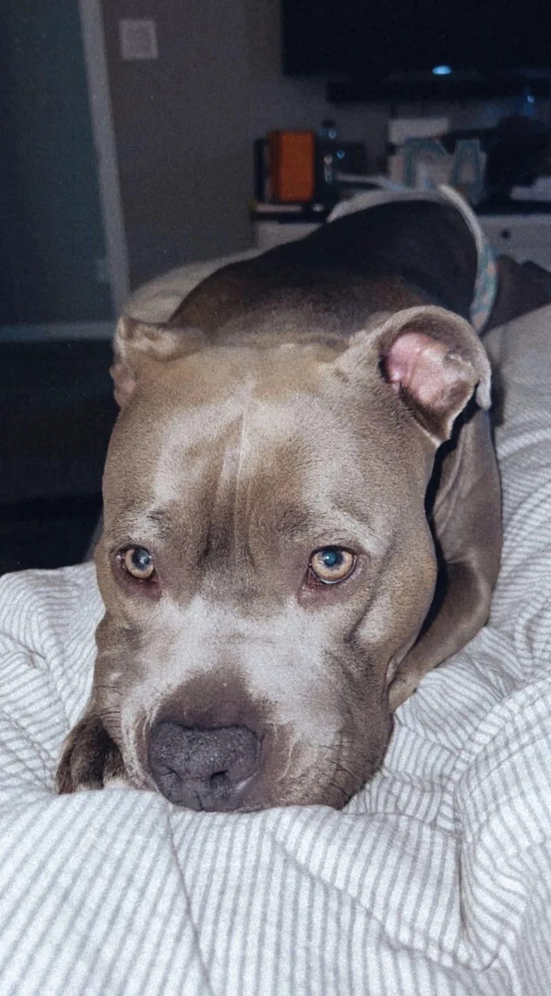 Marley