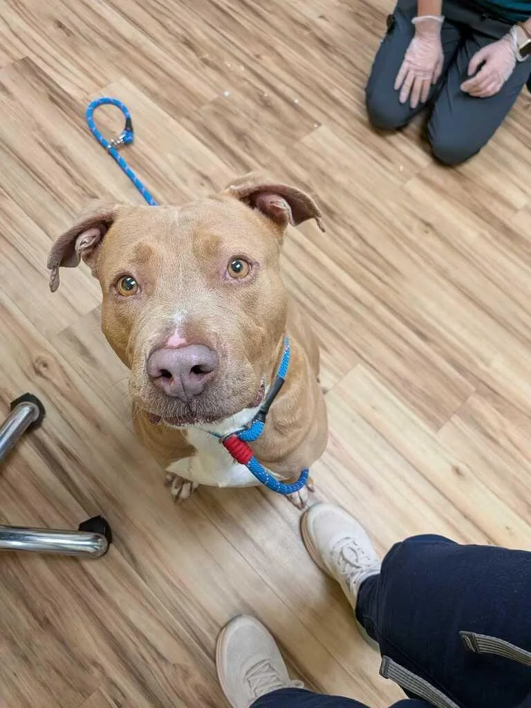 Soldier thumbnail 3