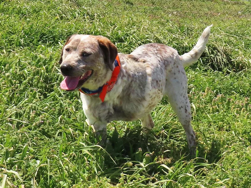 Flat Stanley  C thumbnail 5