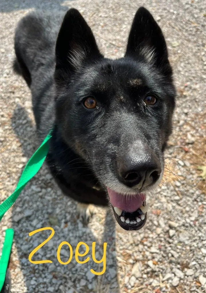 Zoey