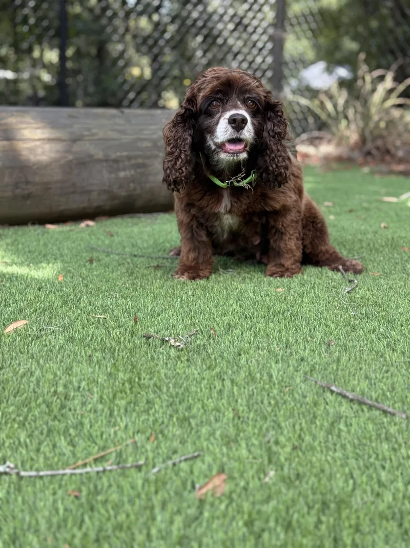 Della