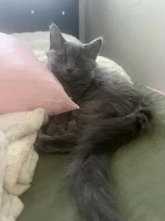 Monica And Macie thumbnail 2