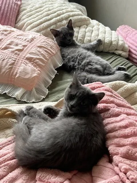 Monica And Macie thumbnail 3