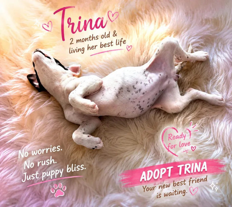 Trina thumbnail 6