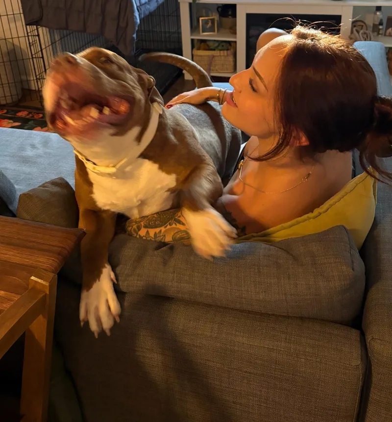 Hazel thumbnail 6
