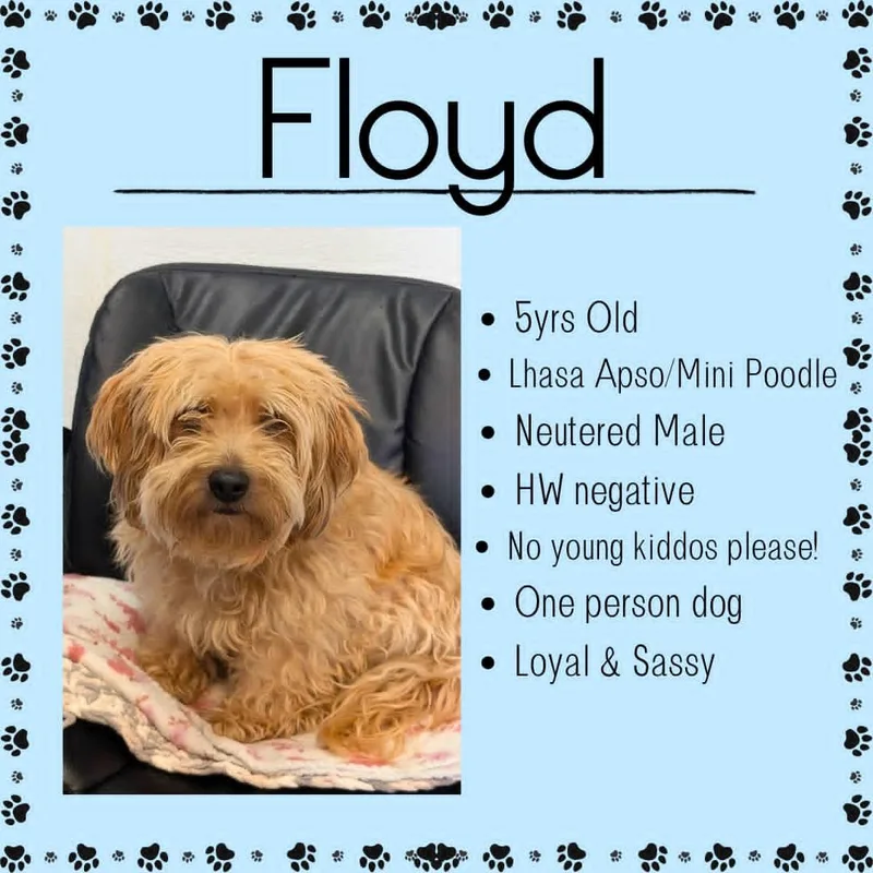 Floyd