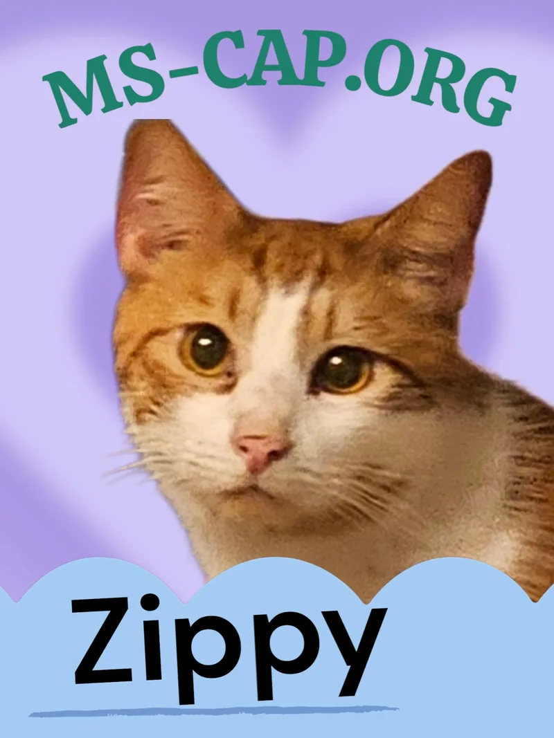 Zippy