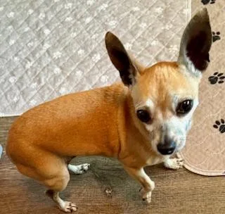 Lilly & Larry thumbnail 2