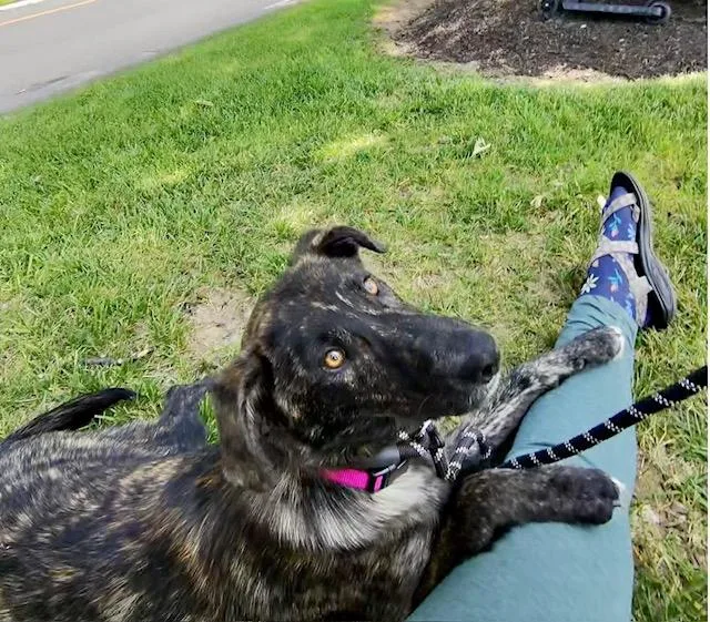 Molly thumbnail 2