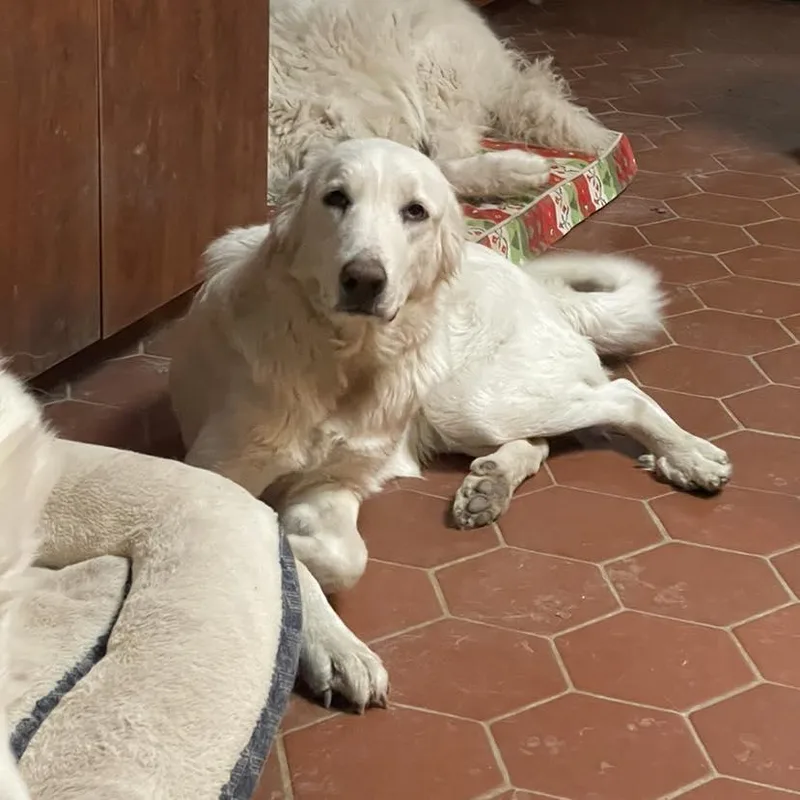 Corra Linn thumbnail 2