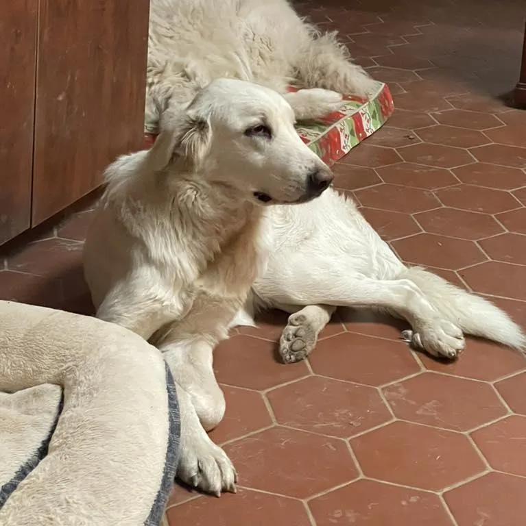 Corra Linn thumbnail 3