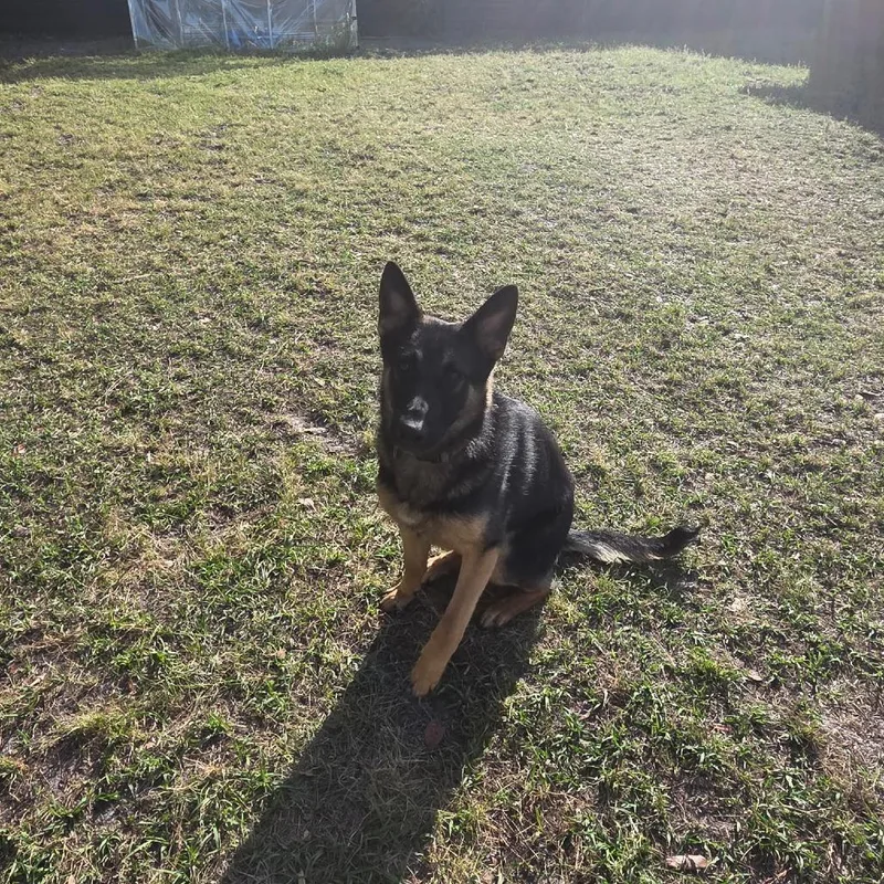 Emmie