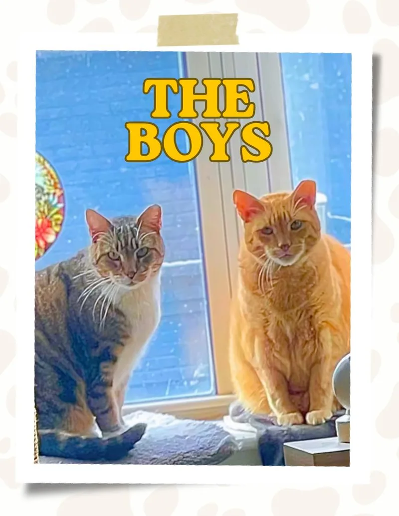 Ron And Guillermo thumbnail 2