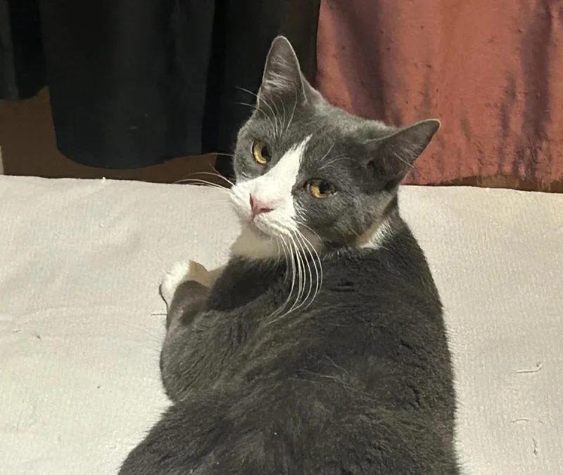 Sabine Obispo Bonded To