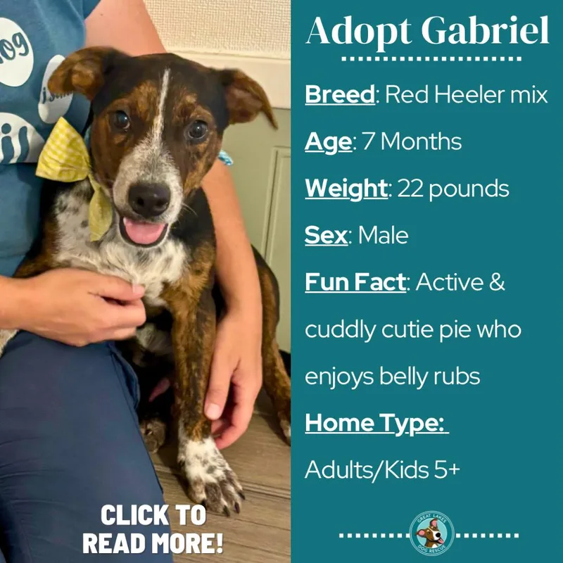 Gabriel