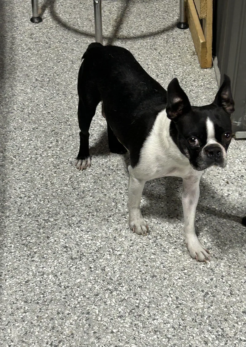 Friendly Tasia thumbnail 2