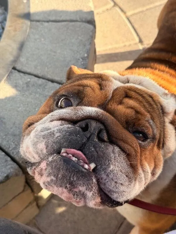 Remy