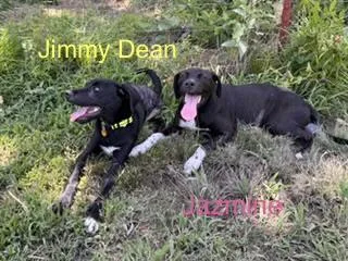 Jazmine thumbnail 2