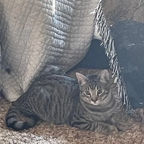 Sammy & Nancy thumbnail 2